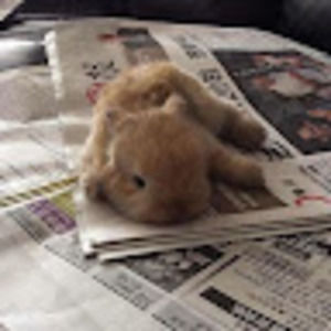 Meet your Posher, Trinity